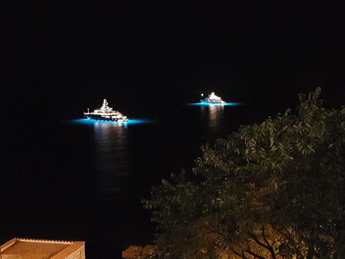 Villa Palmera Dubrovnik Bagian luar foto