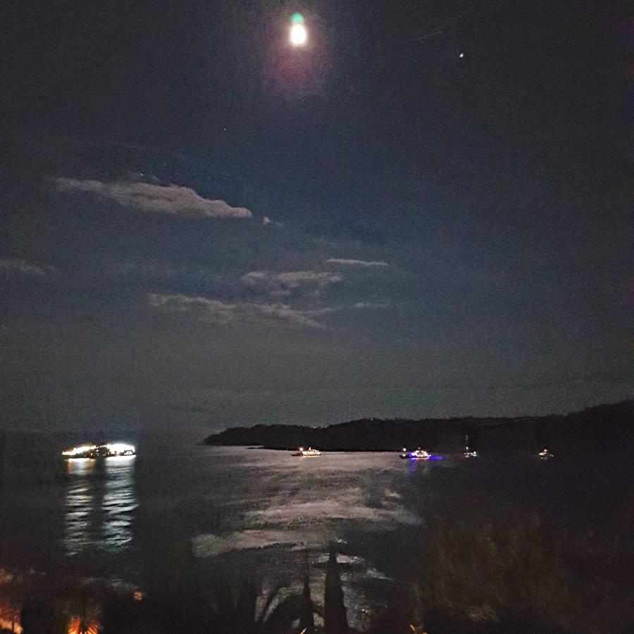 Villa Palmera Dubrovnik Bagian luar foto