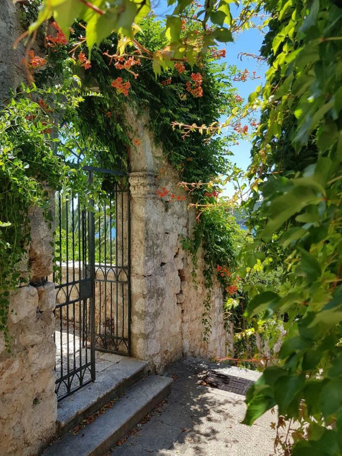 Villa Palmera Dubrovnik Bagian luar foto