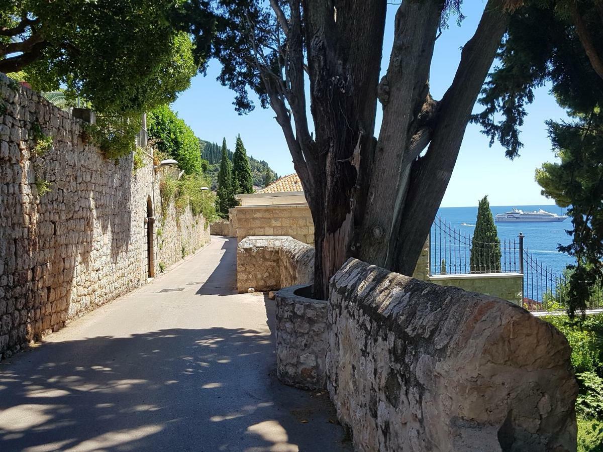 Villa Palmera Dubrovnik Bagian luar foto