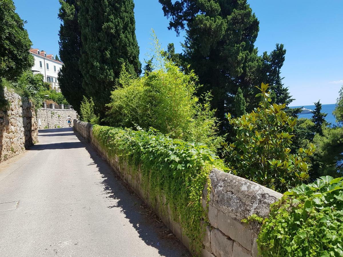 Villa Palmera Dubrovnik Bagian luar foto