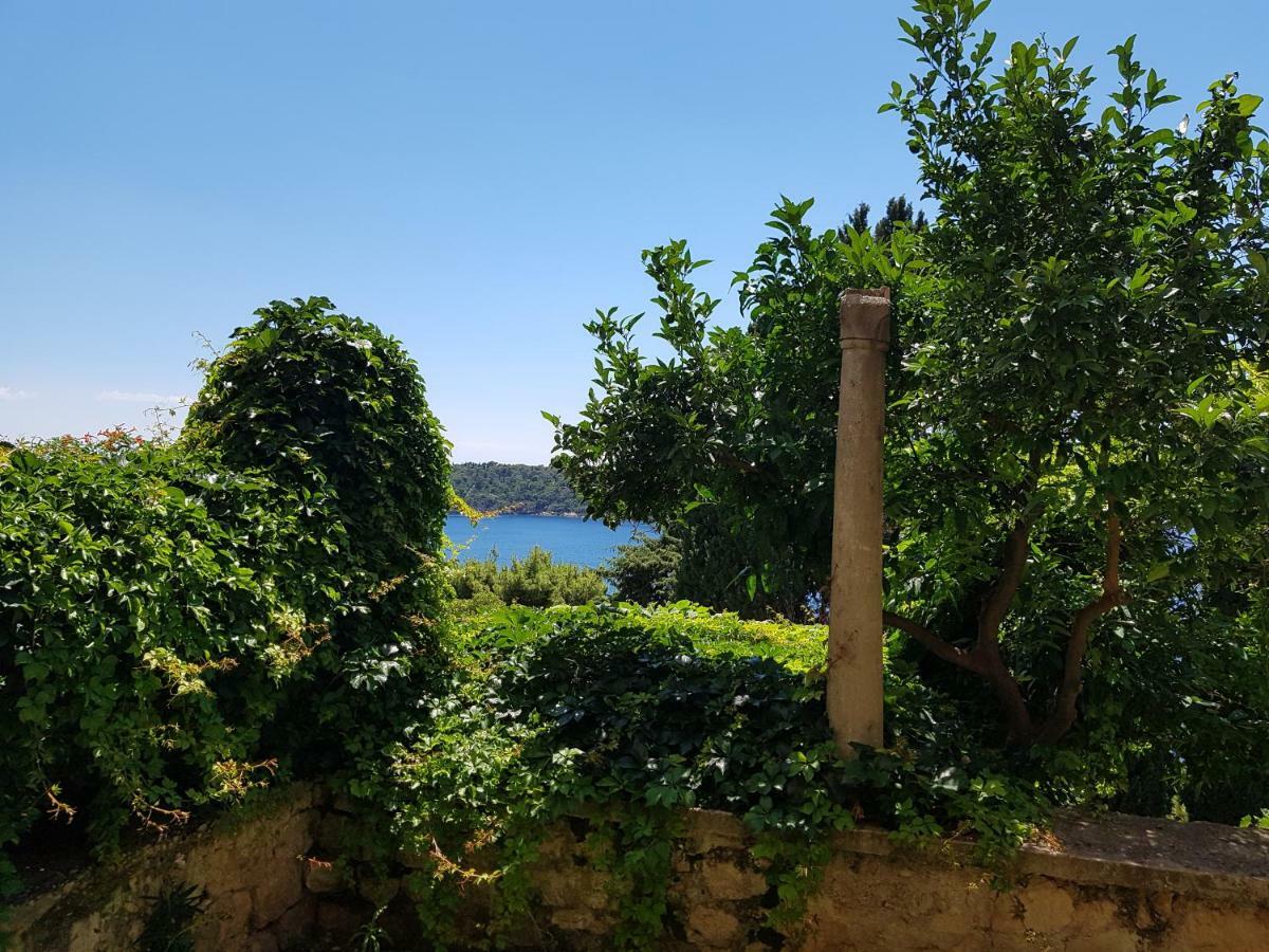 Villa Palmera Dubrovnik Bagian luar foto